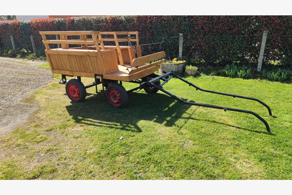 Grande calèche - 180744_2d3deefa33f3d21fdb1915826821940e.jpg