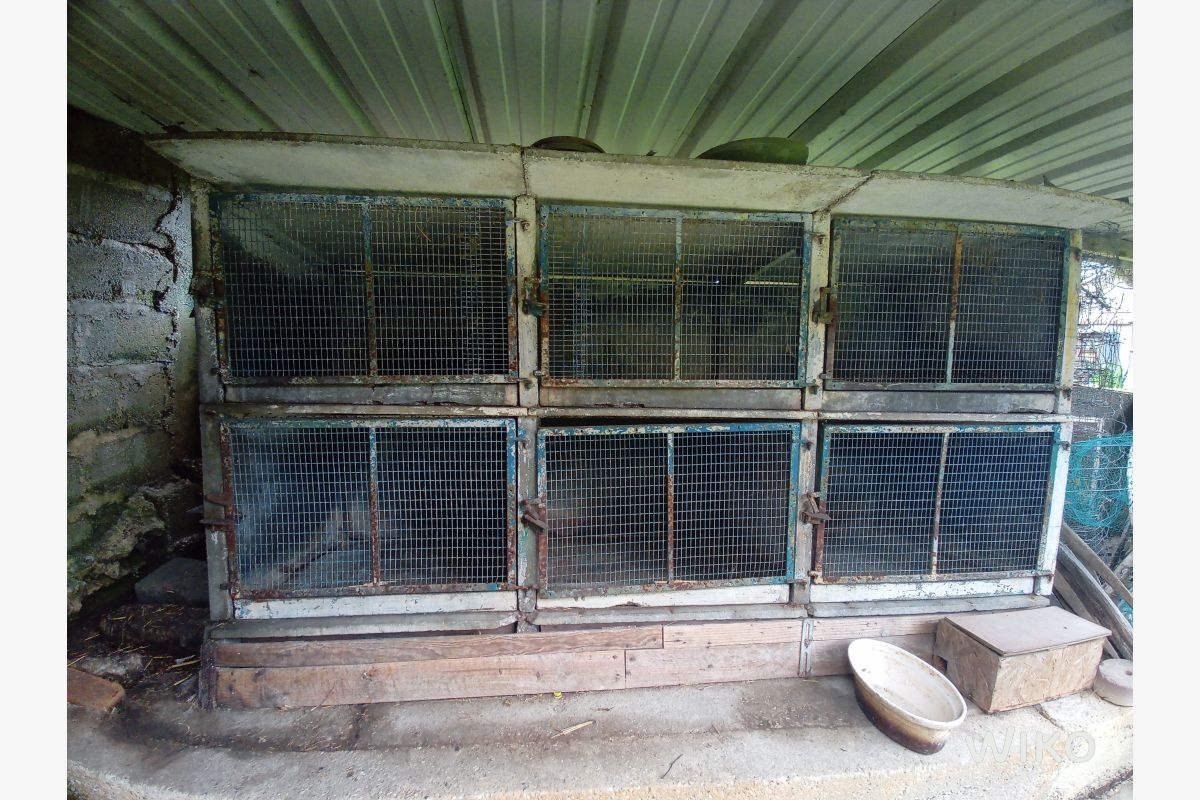 Photo 1 clapier à lapins