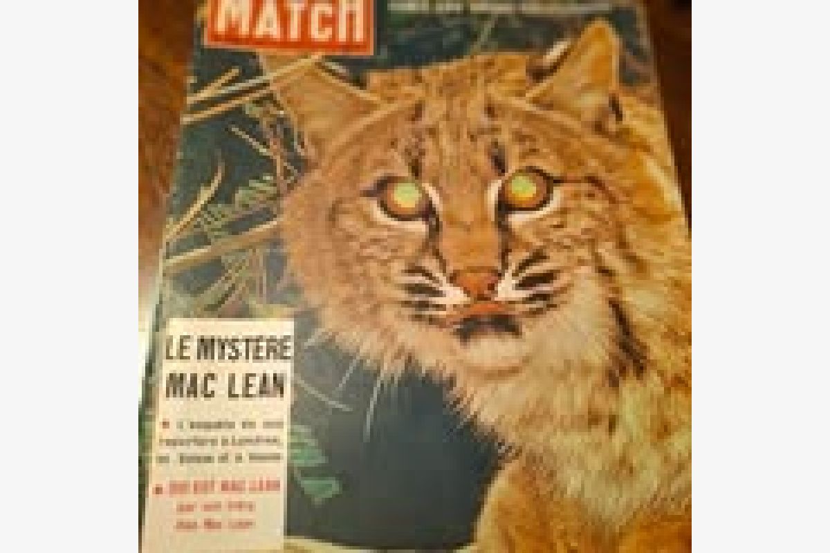 Photo 1 Brocante champêtre 23 et 24 mai à IZIEU ( 01300)