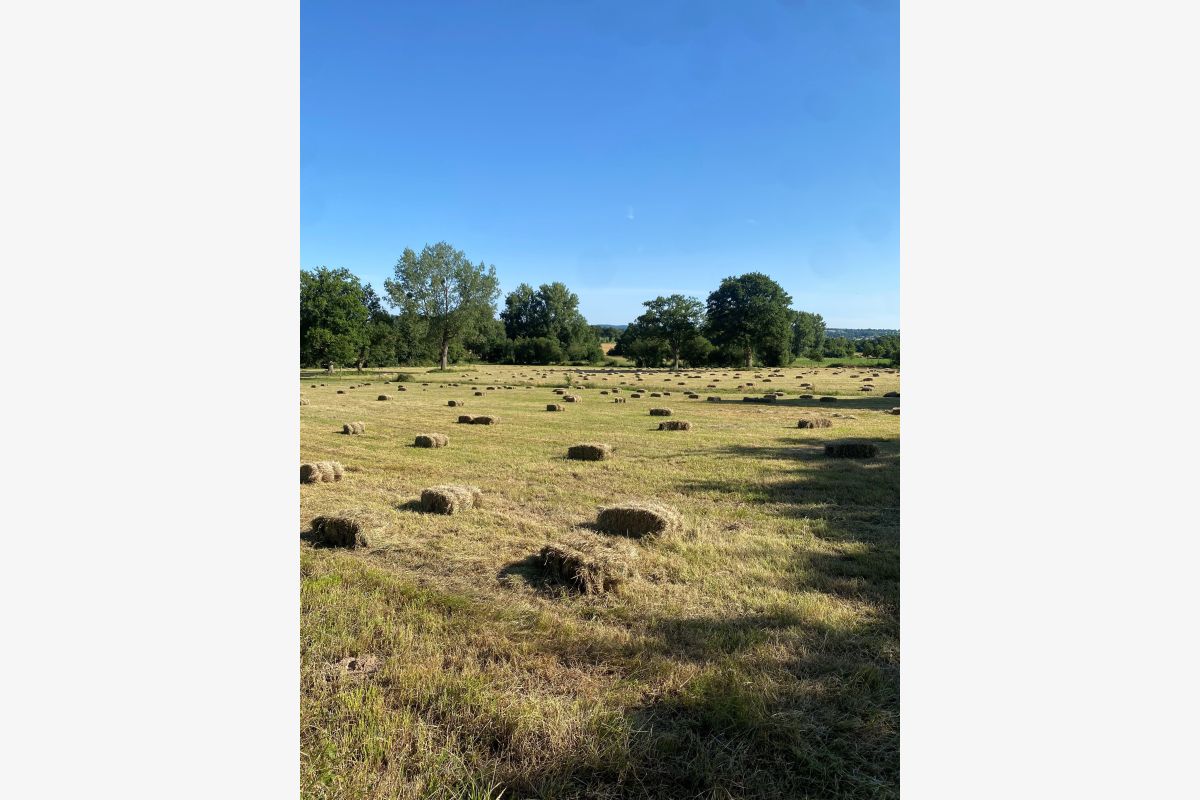 Photo 1 Petites bottes de foin