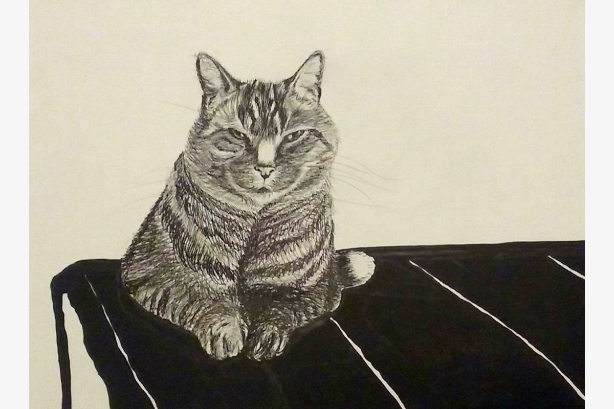 Portraits animaliers  - 300141_f0d3bd981874d226ae55b747ba8ff90a.jpg