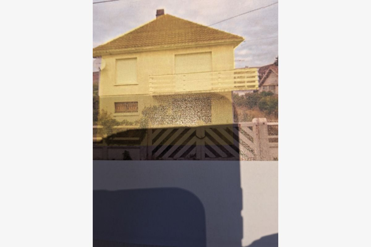 MAISON - 300259_f97d2068f33ebc6fe2e4d07d9934b28d.jpg