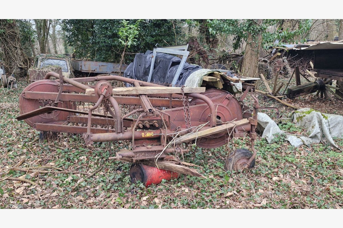 2 râteaux-faneurs - 301059_b1d2aeeaed0636b7c313823f4792313e.jpg