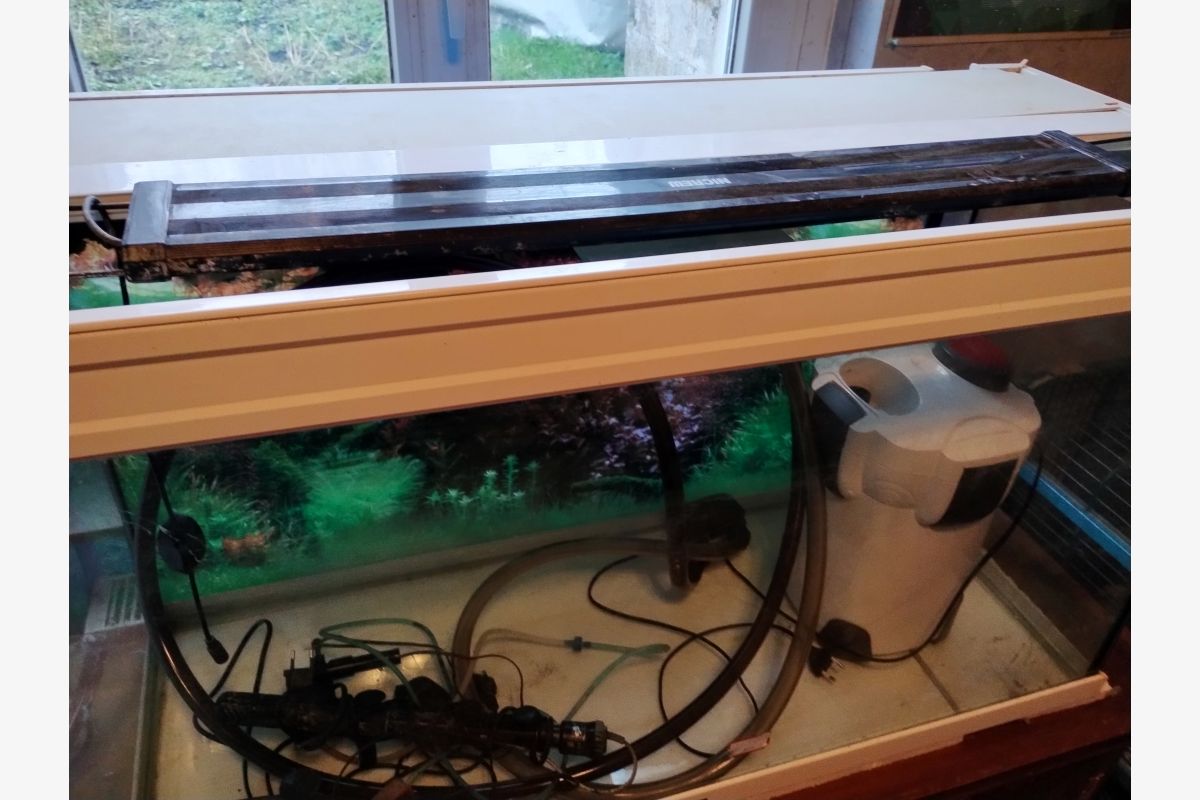 Photo 1 Aquarium complet 240 litres 
