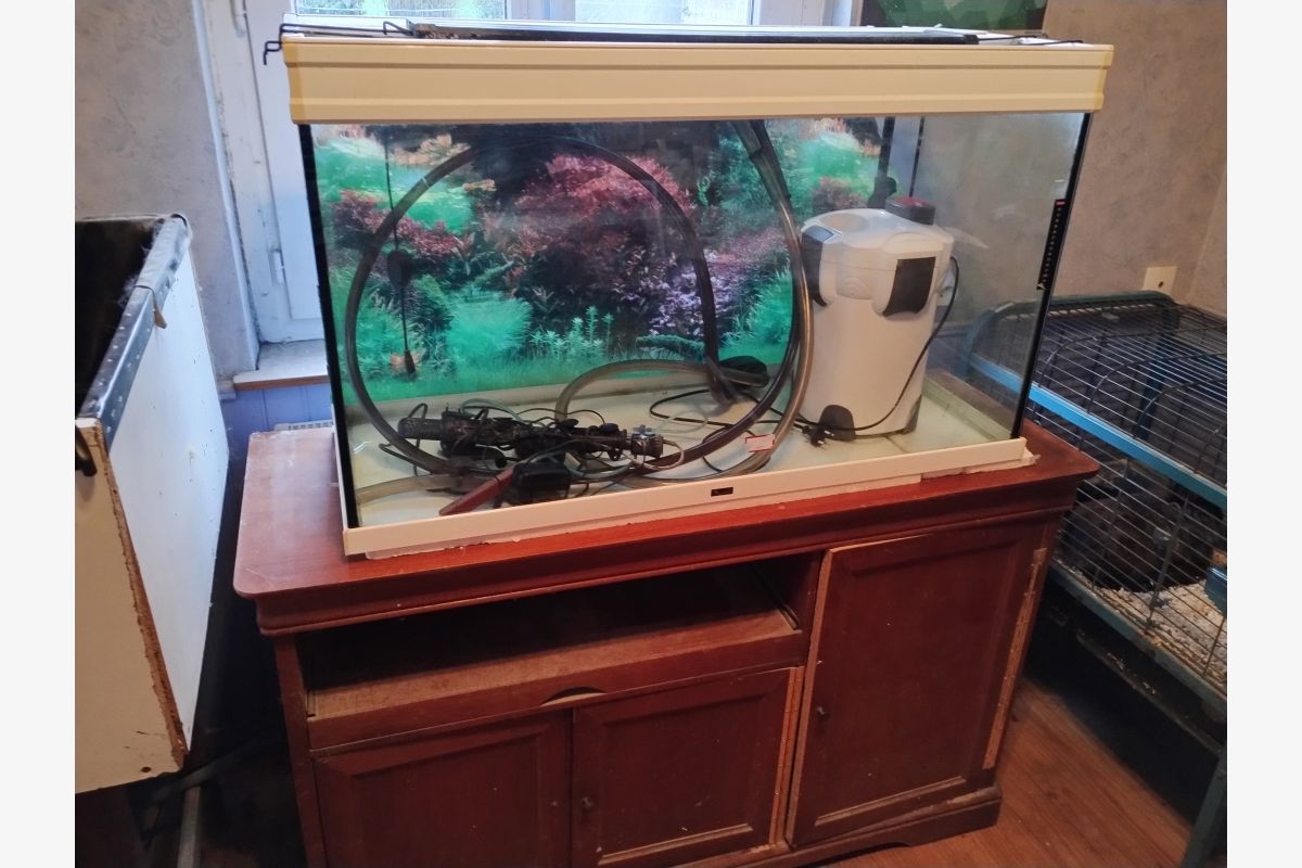 Aquarium complet 240 litres  - 301138_88a1d10d92876b813089465cb87af4c6.jpg