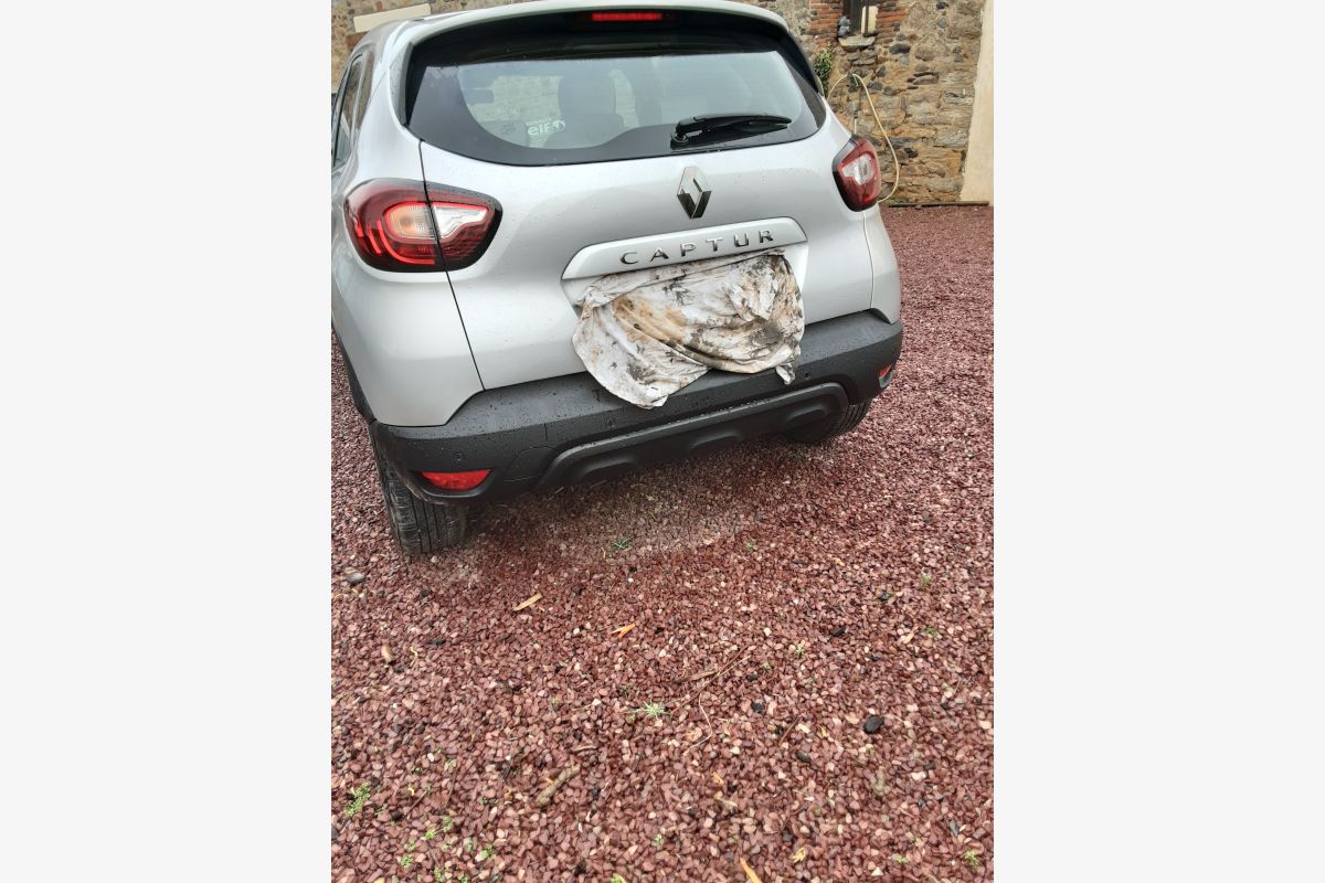 A vendre Captur - 301155_9bac9cfd76490504e61c8d5abb9cd9b4.jpg