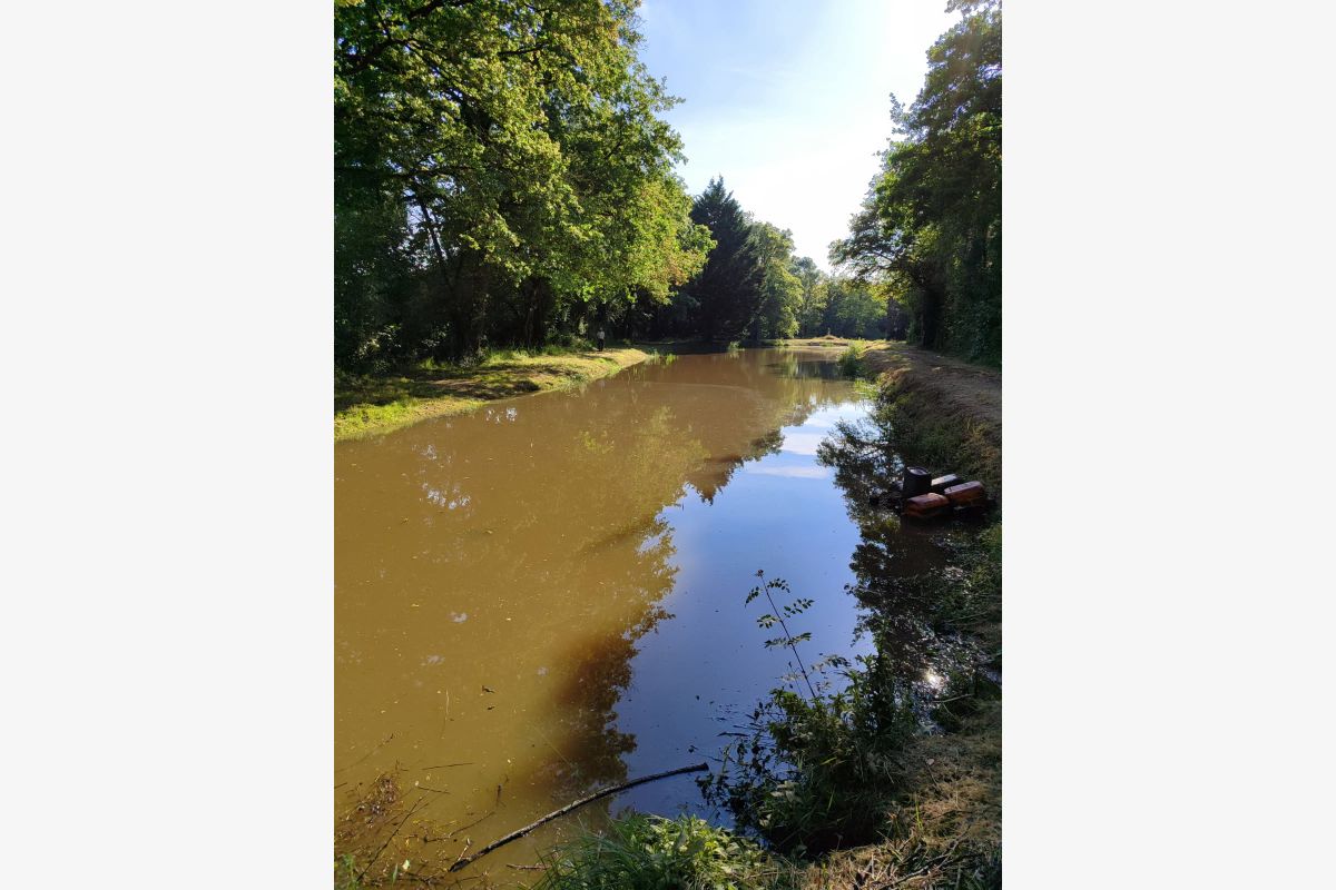 Etangs/ terrain boisé  - 301645_117a3202e9c0b07ad2e0006ebcdf61d2.jpg