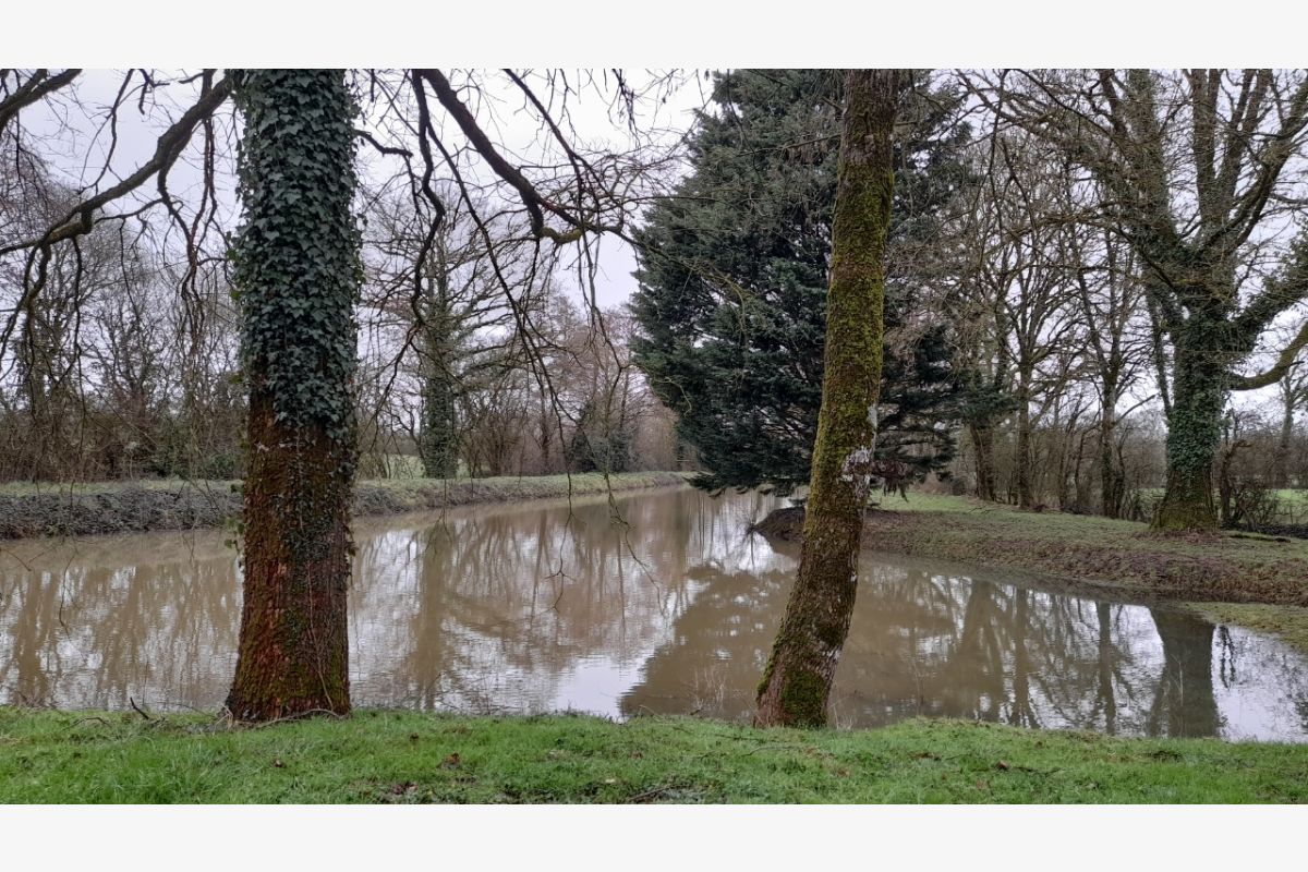 Photo 1 Etangs/ terrain boisé 