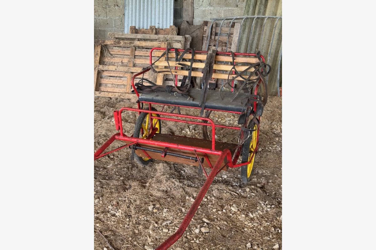 Photo 1 Carriole avec équipage