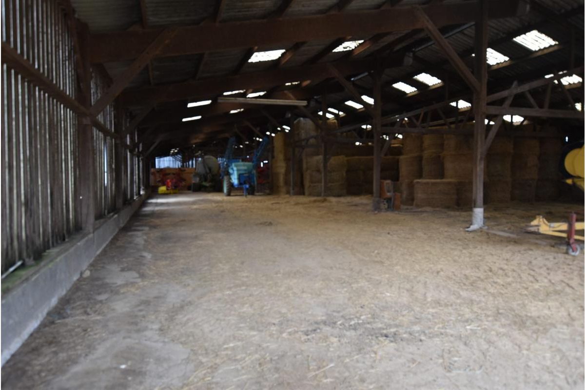 Maison à vendre Tourville-sur-Sienne - 301960_14.jpg