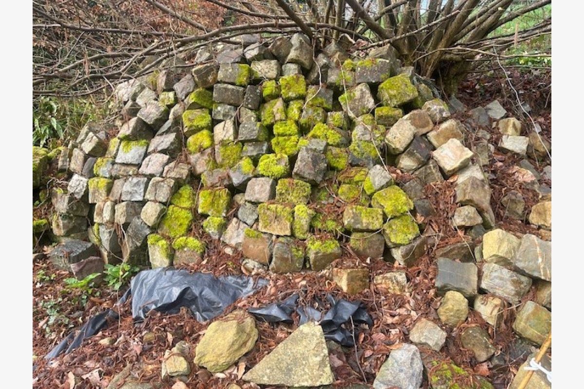 Très beaux pavés de rue anciens - 302023_612a3d82fe7f85d59ebf1bc970a4e2ec.jpg