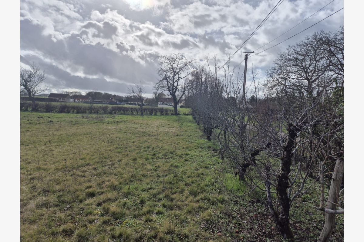 Photo 1 Terrain à bâtir 