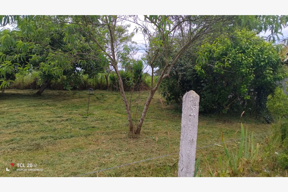 Jardinier propose ses services - 302386_02beeabf1e02a2e6df0d8bfa534fca9f.jpg