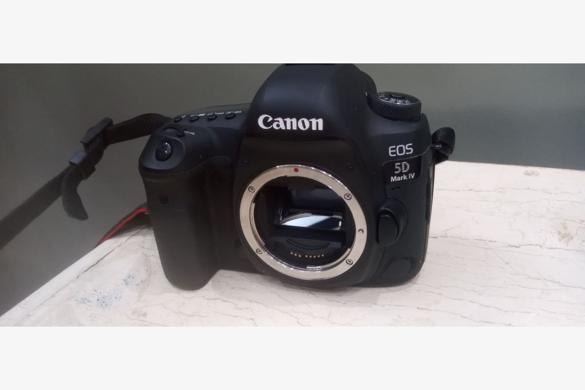 Canon EOS 5D Mark IV - 30238803_e7bd1476e4aa0cef884e902b5a1e3461.jpg