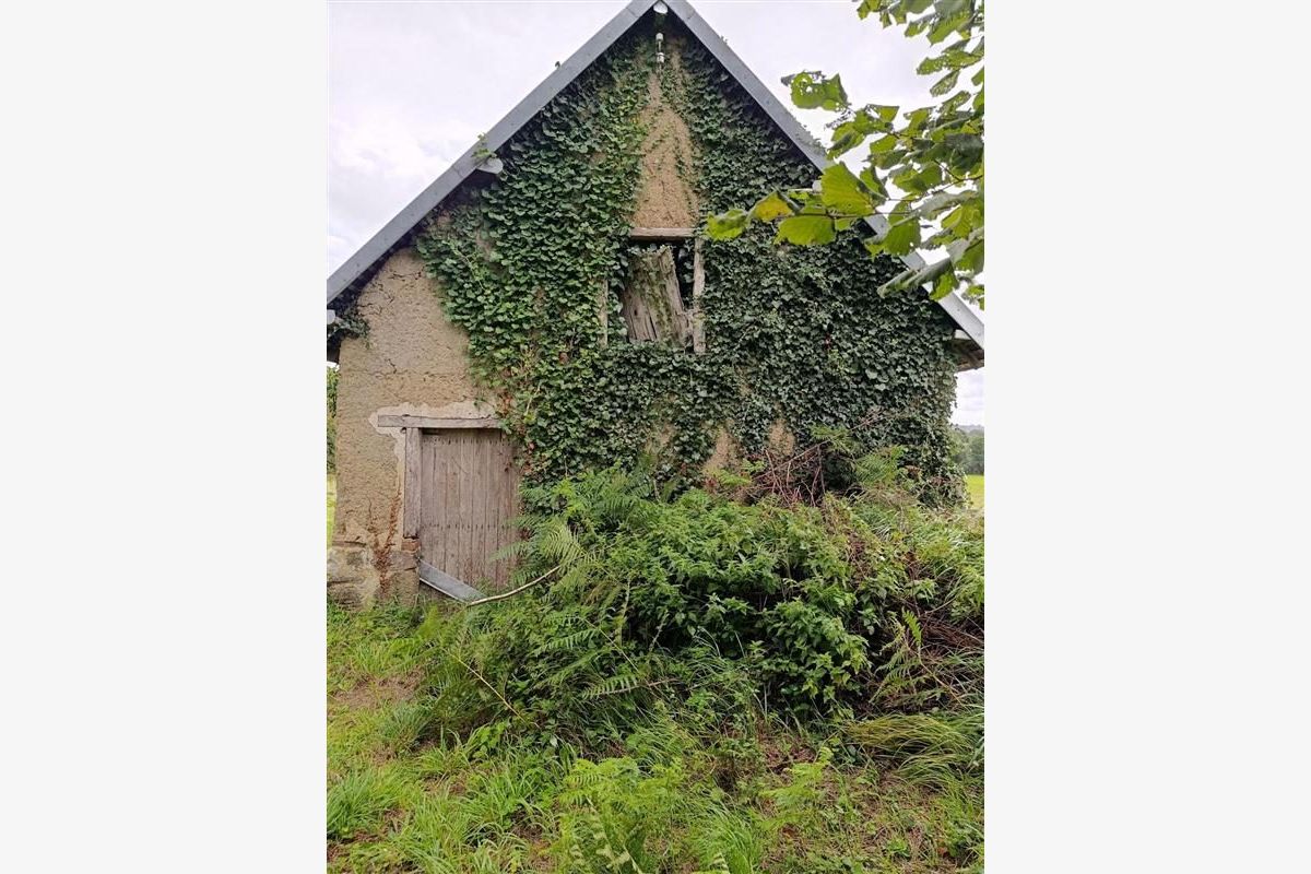 Maison à vendre Roncey - 30238806_15.jpg