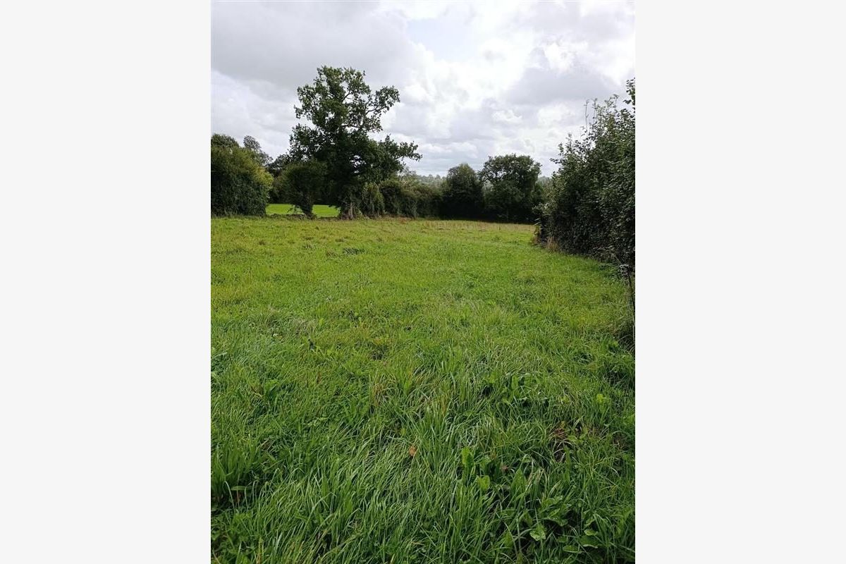 Maison à vendre Roncey - 30238806_16.jpg