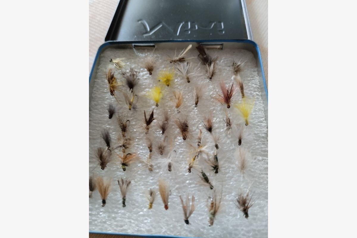 Photo 1 Mouches sèche 