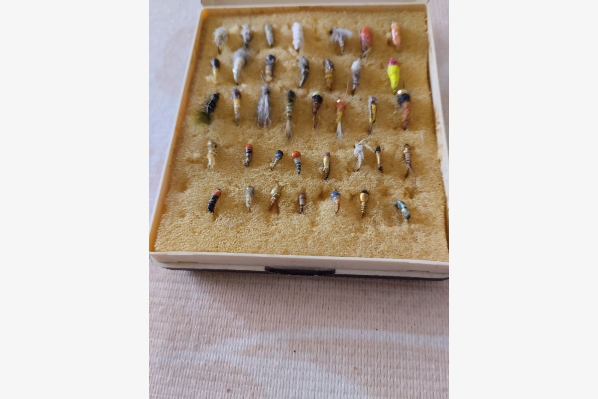 Photo 1 Nymphes truites 