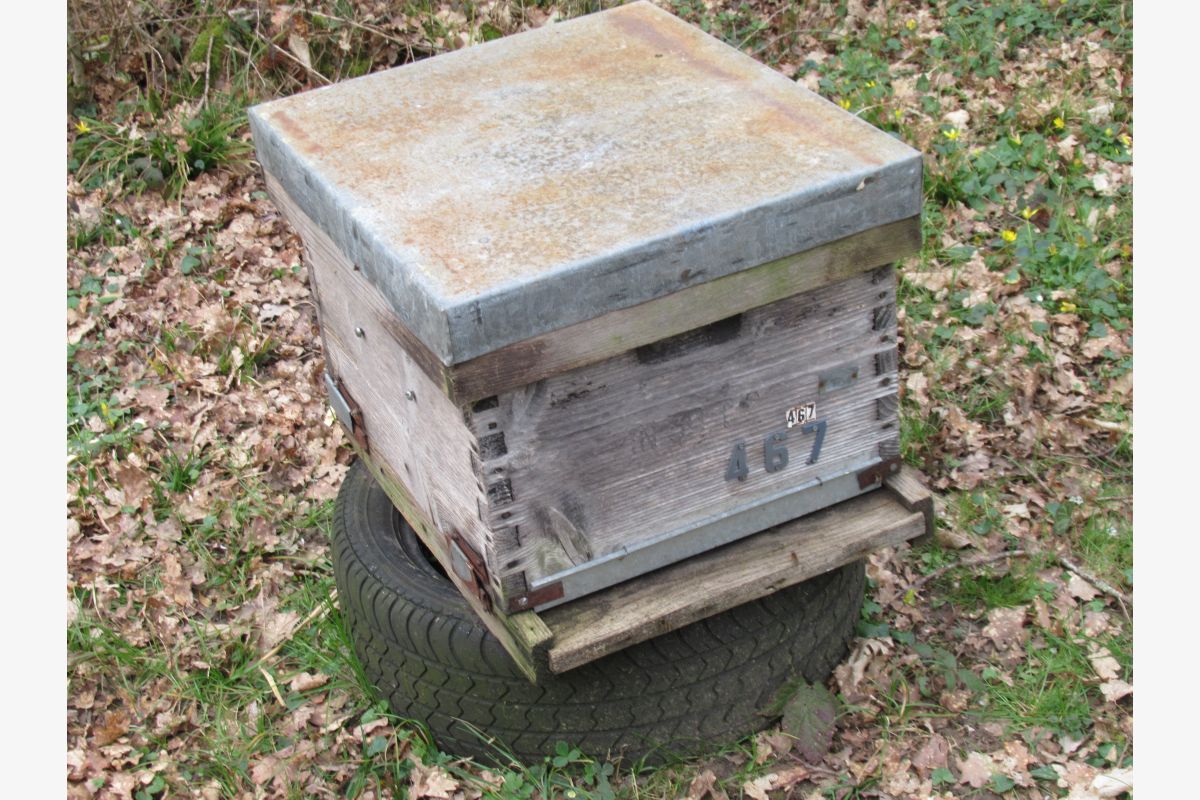 Ruches dadant - 30239041_a7f6467ee33435ffbf224246bf5c2fed.jpg