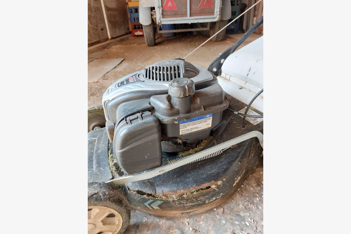 Tondeuse - 30239072_2ceccfd119e1400a7c0a9e1e4ed339be.jpg