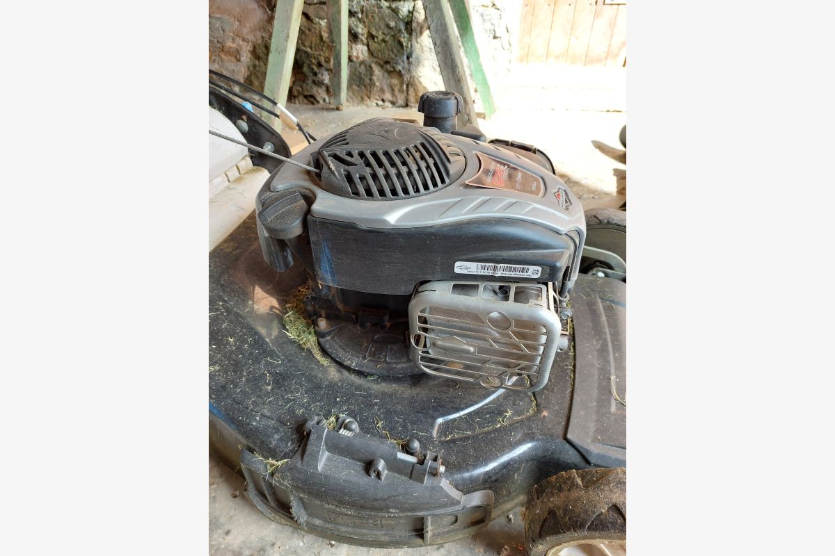 Tondeuse - 30239072_ccf6f26d903475641cdd558588ca813b.jpg