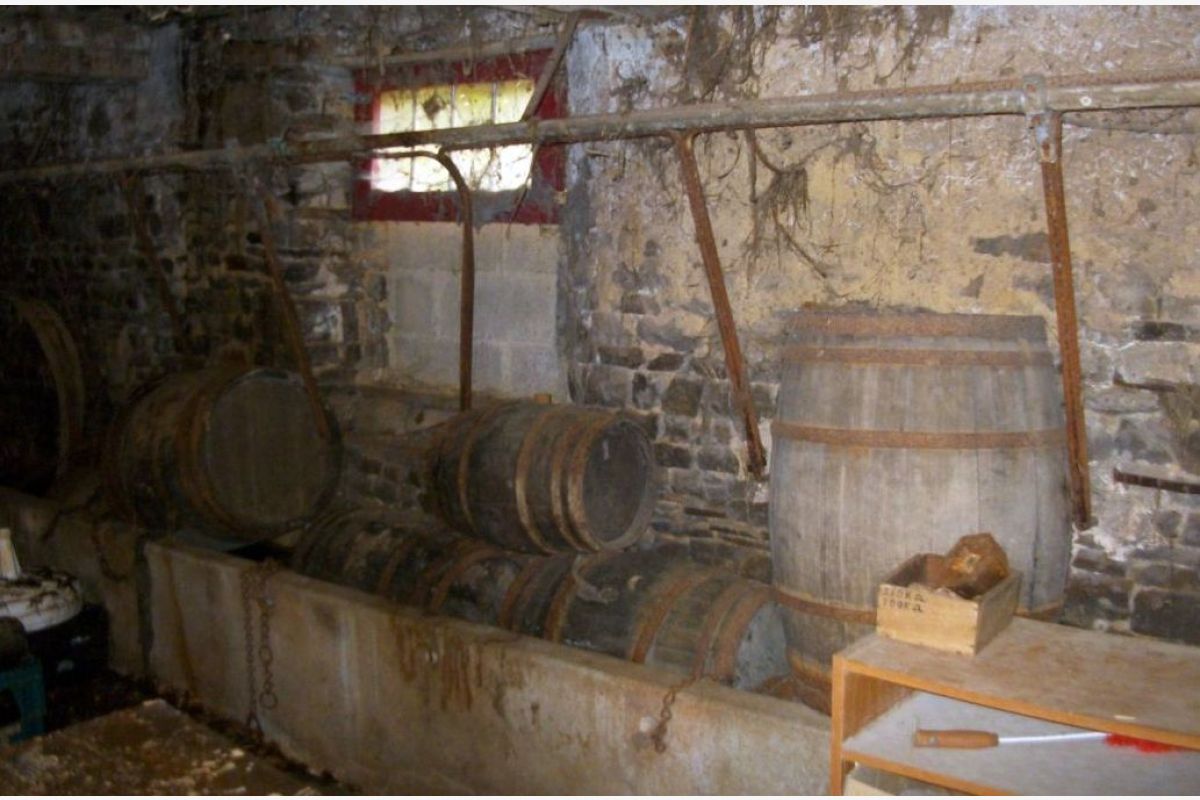 Photo 1 Petits tonneaux