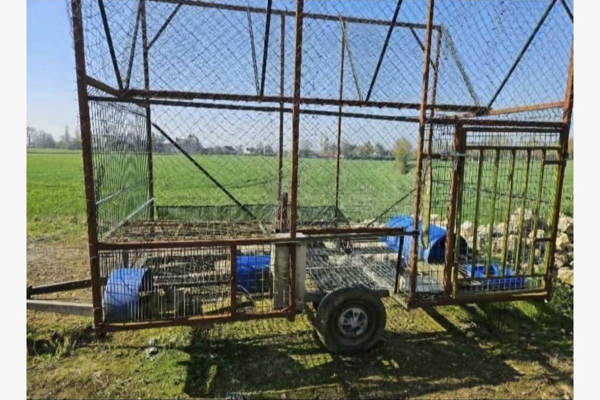 Photo 1 Cage pour corbeaux