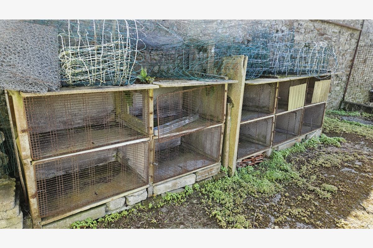 Donne 10 clapiers lapins en béton - 30240635_d6fecfda633bf3667902e93a50c44ed7.jpg