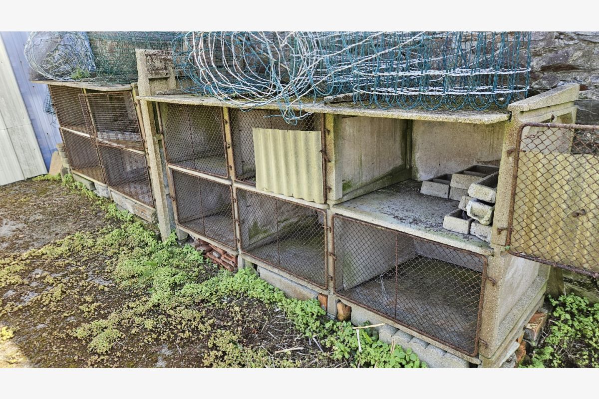 Photo 1 Donne 10 clapiers lapins en béton