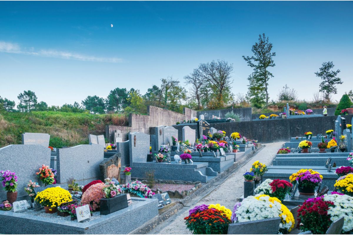 Photo 1 Nettoyage et entretien de Sépultures 