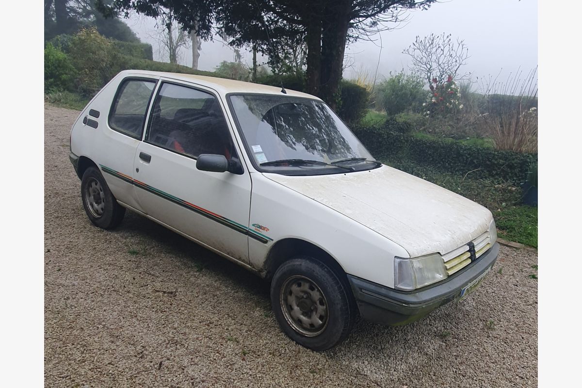 Photo 1 205 color Line  collection