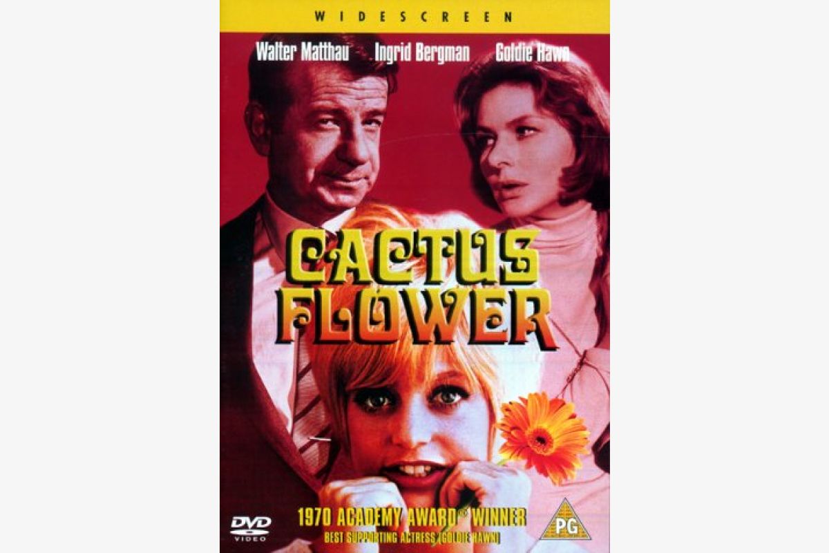 Photo 1 CACTUS FLOWER