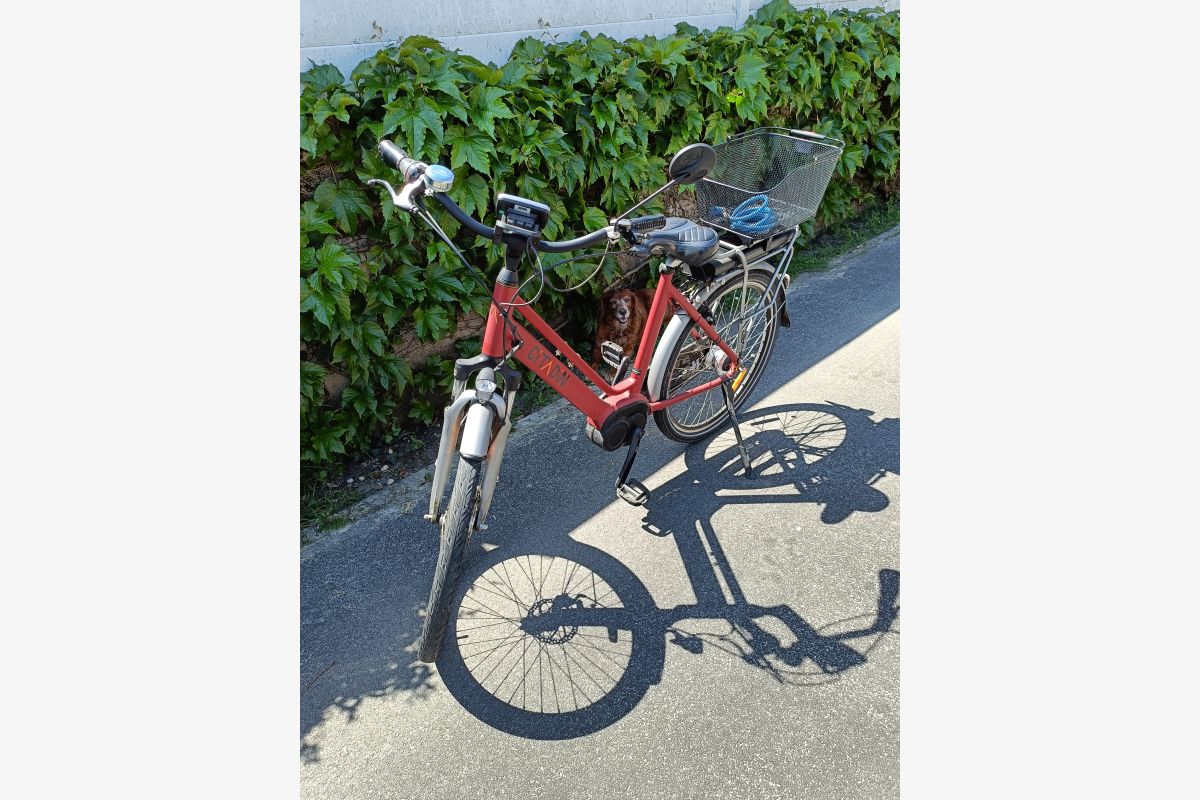 Photo 1 Vends vélo à assistance électrique