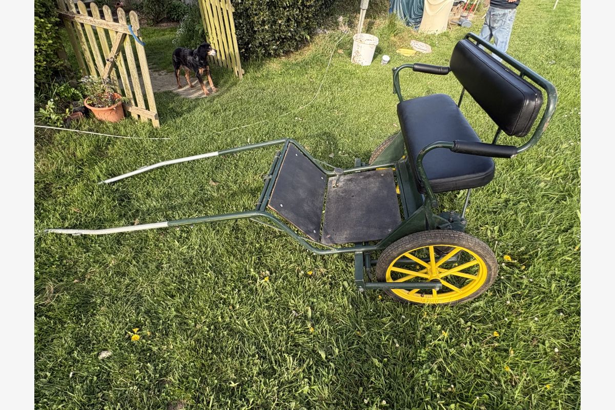 Photo 1 Carriole poney