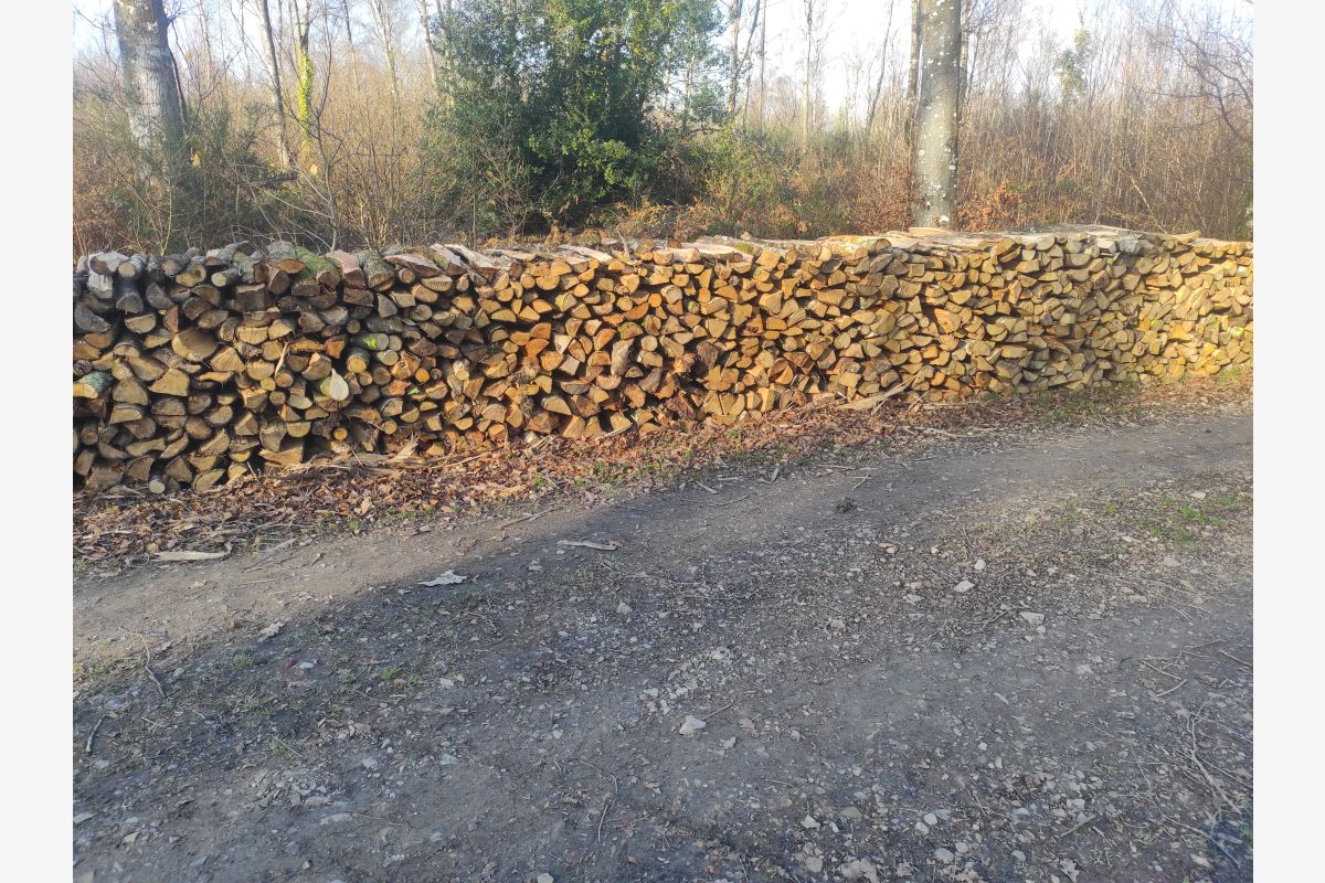 Photo 1 Bois de chauffage