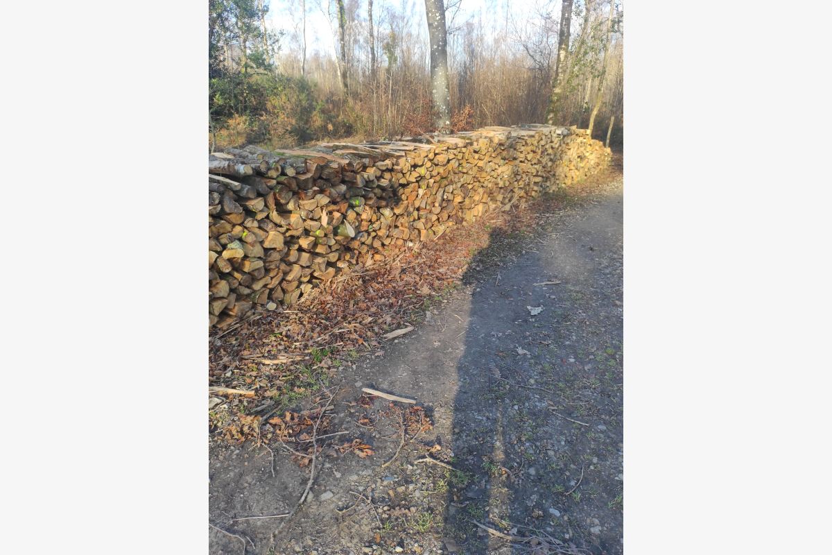 Bois de chauffage - 30241921_9c9d28b55e696e6095169b6347582899.jpg