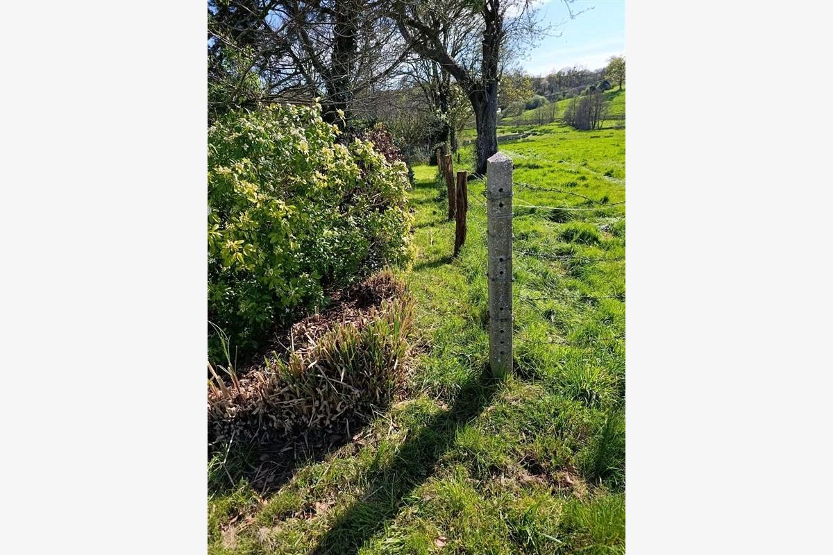 Maison à vendre Cerisy-la-Salle - 30242177_10.jpg