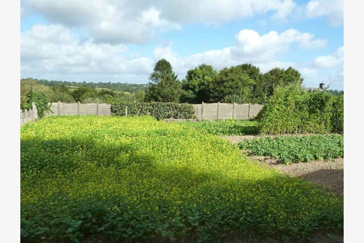 Photo 1 CERISY LA SALLE