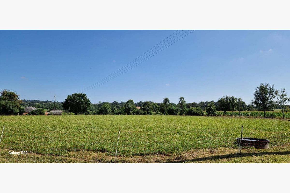 BELLE PROPRIETE RURALE - 30242263_3.jpg