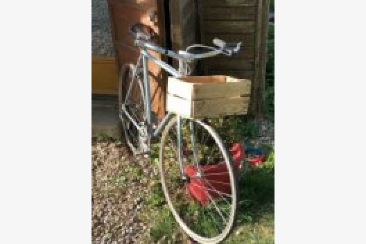 Vélo  - 30242855_07ca57c50972e16ded61322790e2d7d8.jpg