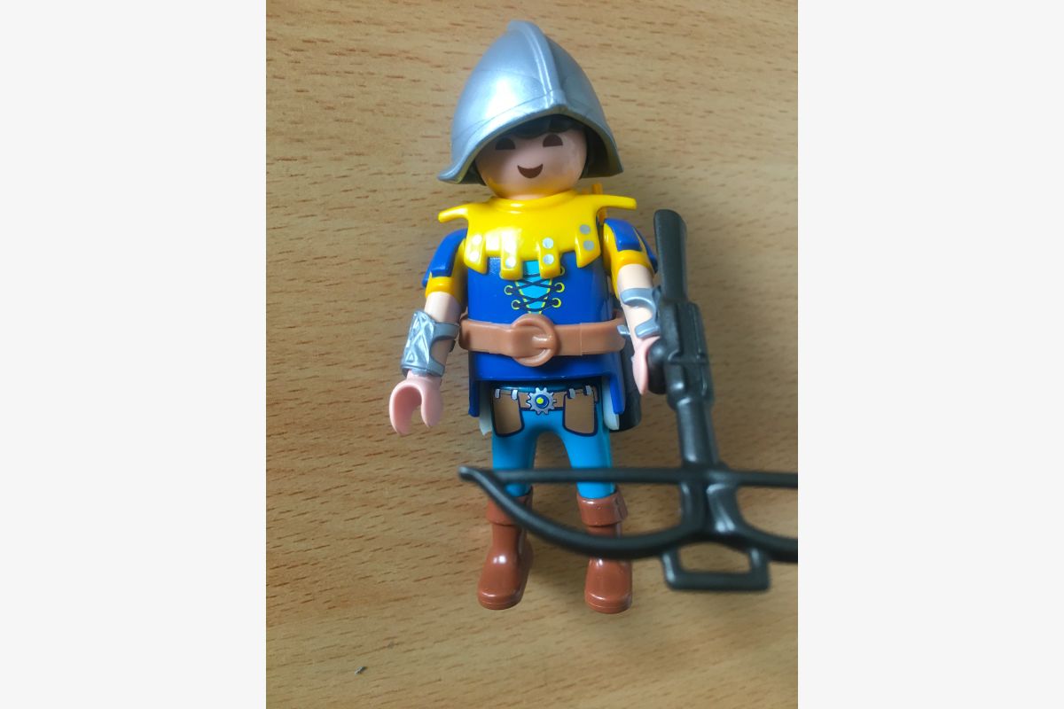 Lot Playmobil – Figurine, livre, cartes, poster - 30243382_32893fd637e8549561041175168ba3ce.jpg