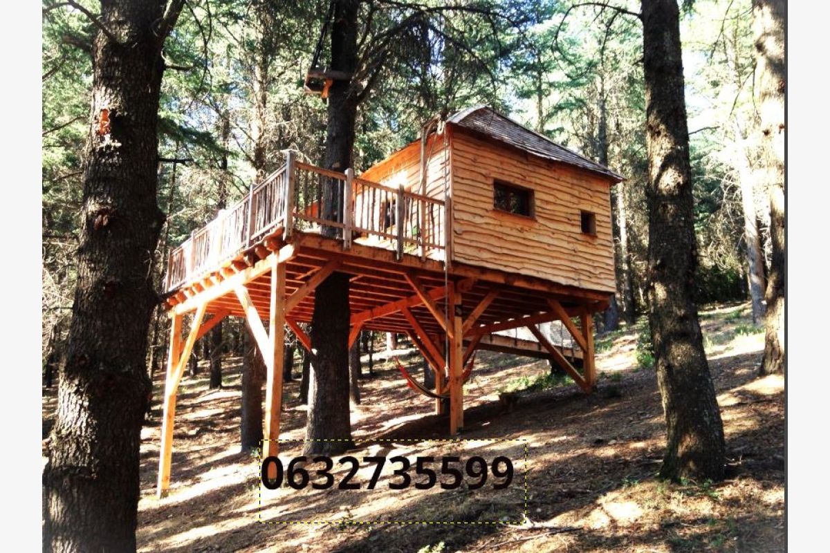Photo 1 Cabanes perchée dans une forêt de cèdres
