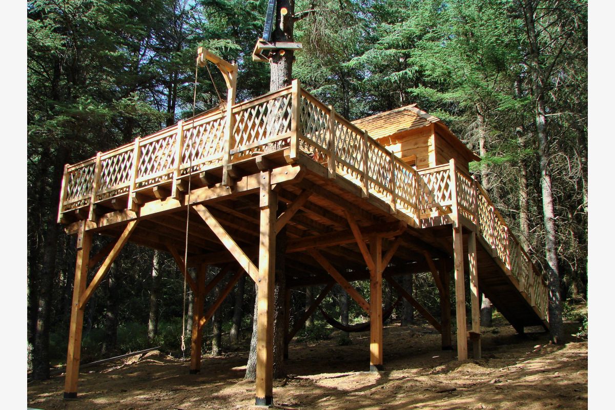 Cabanes perchée dans une forêt de cèdres - 30243515_bfadeb270854e003d586a98335aed9da.jpg