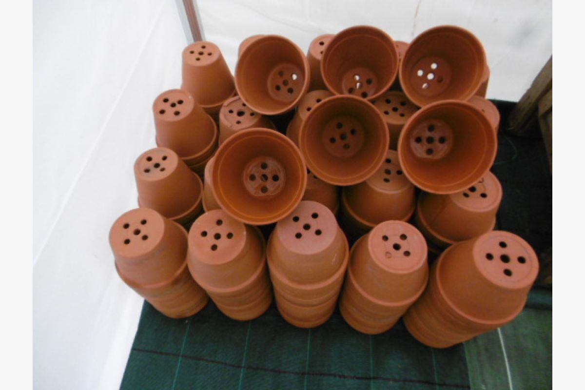 Pots de jardin - 30243537_89437828395ec86ef2ddcca4615db8cb.jpg