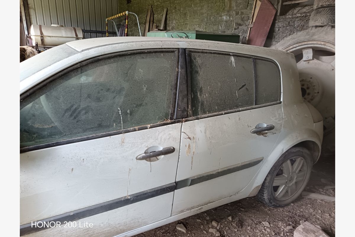 Photo 1 Renault Megane