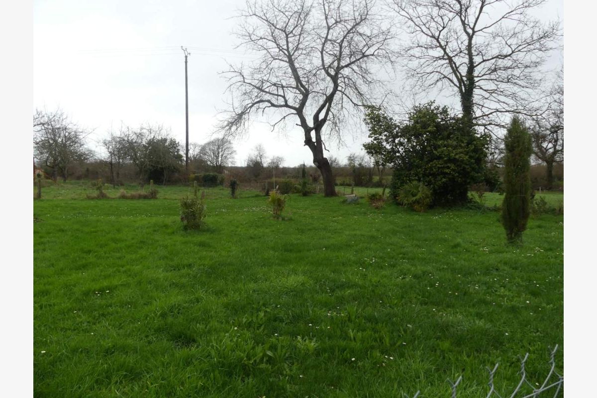 Maison ancienne - 30245368_3.jpg