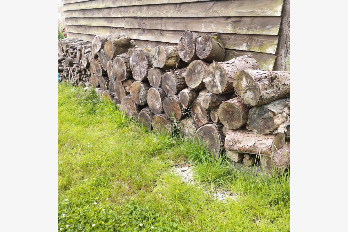 Photo 1 Bois de chauffage