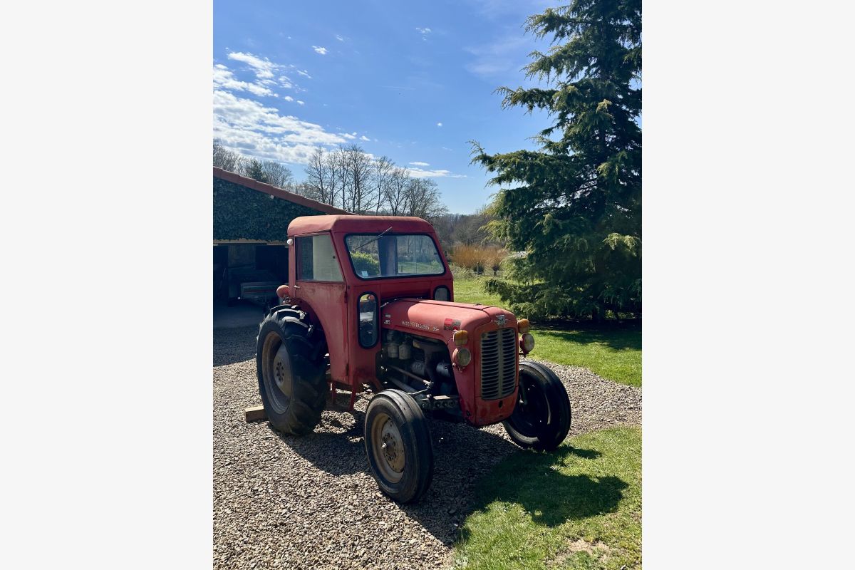Photo 1 VEND MASSEY FERGUSON 35 (1959)