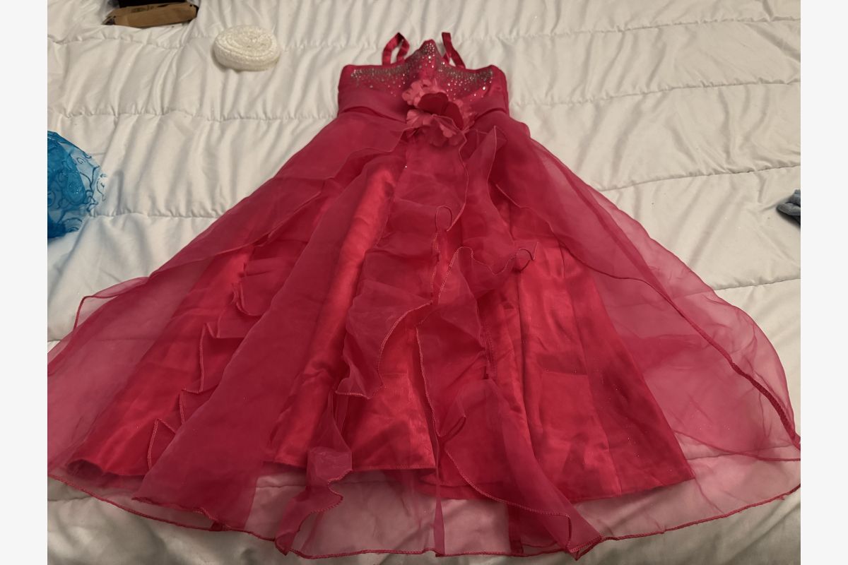 Photo 1 Robe cérémonie fille taille 3 ans 