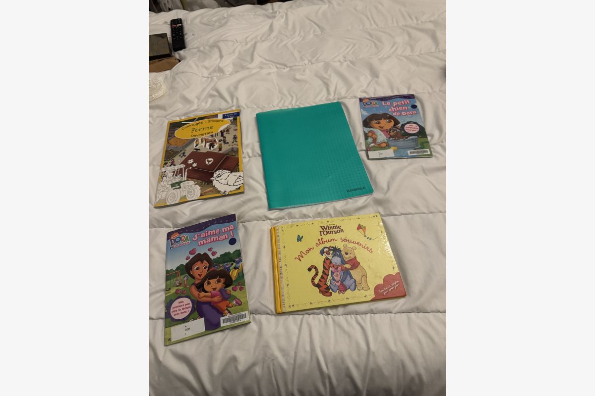 Photo 1 Livres enfants Dora l'exploratrice 